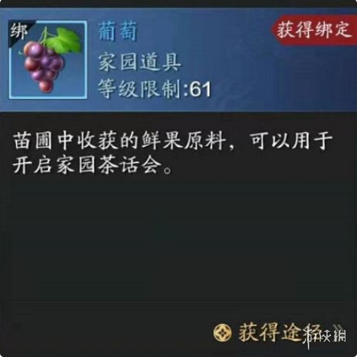 6game网4