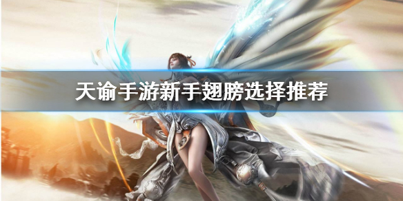 天谕手游新手翅膀怎么选 天谕手游新手翅膀选择推荐