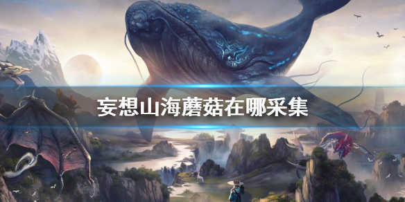 6game网1