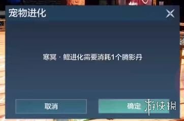 6game网4