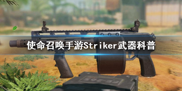 使命召唤手游Striker是什么 使命召唤手游Striker武器科普