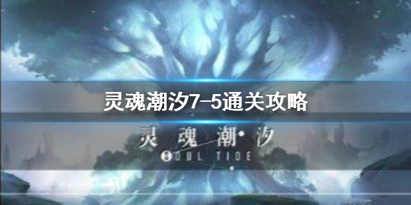 6game网1