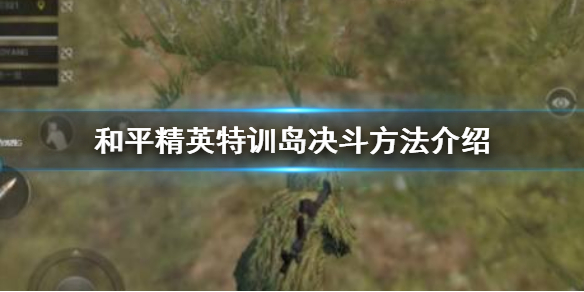 和平精英特训岛怎么邀请别人决斗 和平精英特训岛决斗方法介绍