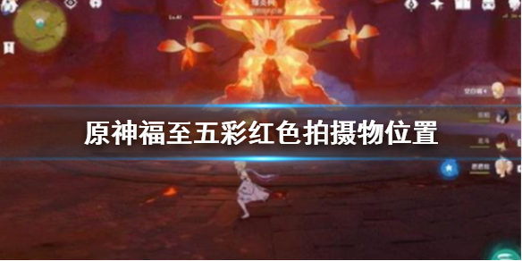 原神带有红色的采集物在哪拍 原神福至五彩红色拍摄物位置介绍