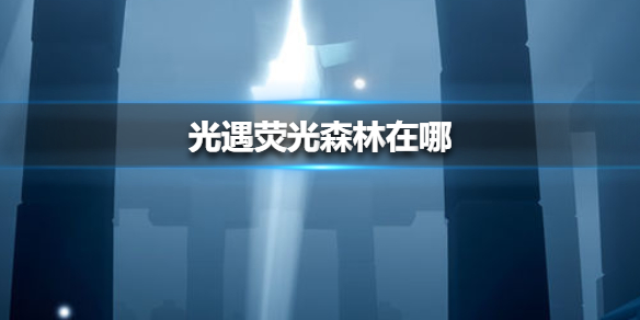 6game网1