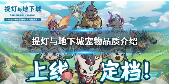 6game网1