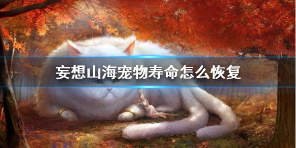 6game网1
