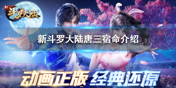 6game网1