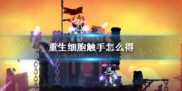 6game网1