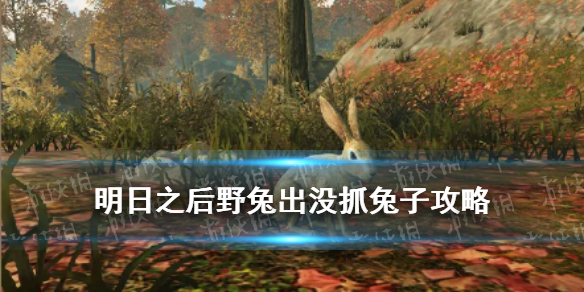 6game网1