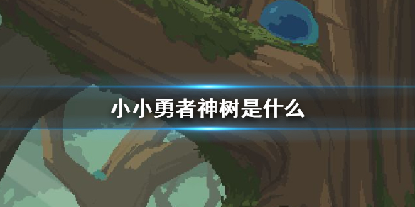 6game网1