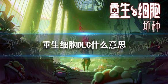 6game网1
