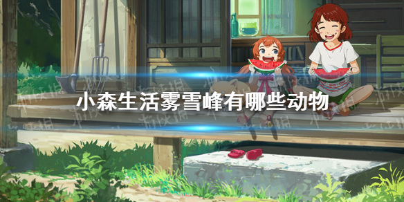 6game网1