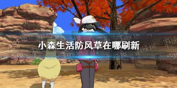 6game网1