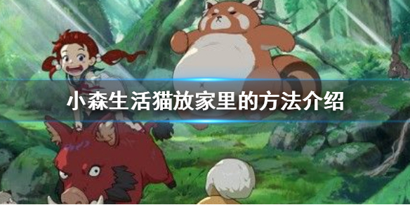6game网1