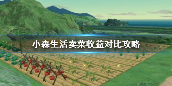 6game网1