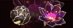 6game网8