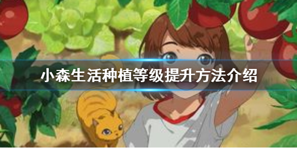 6game网1