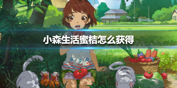6game网1