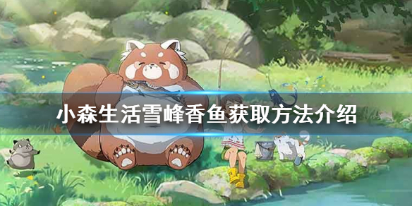 6game网1