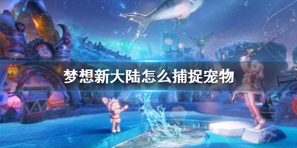 6game网1