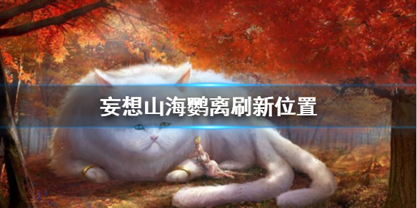 6game网1