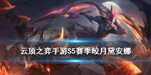 游侠网5