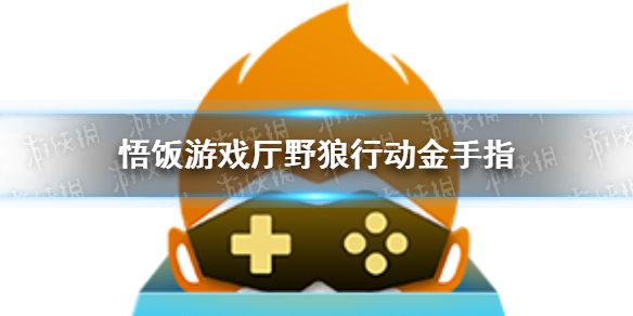 游侠网1