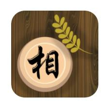 天天象棋大师 v1.5 手机版