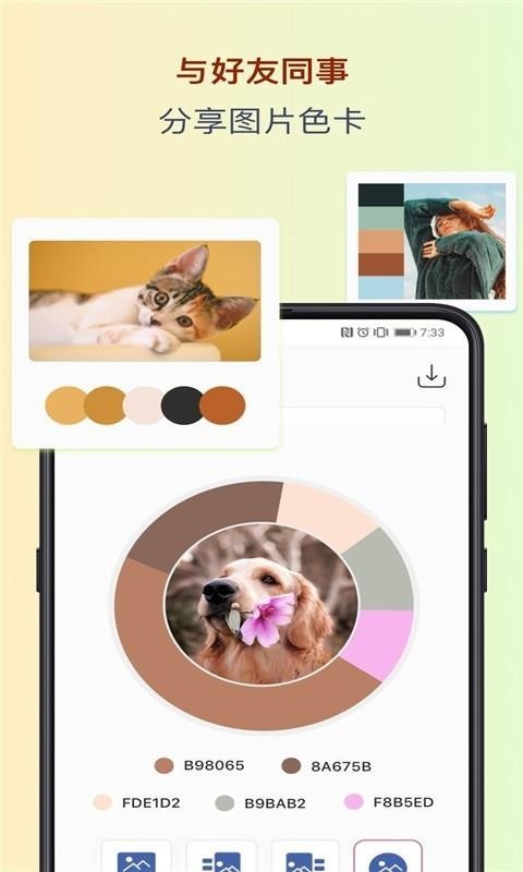 色采 v2.3.1 安卓版