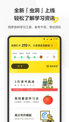 考虫网